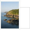 Lizard Peninsula, Cadwight by Anonymous