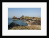 Lizard Peninsula, view of Kynance Cove by Anonymous