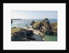 Lizard Peninsula, view of Kynance Cove by Anonymous