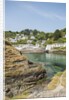 Polperro is a village with beautiful ancient houses along a canal by Anonymous