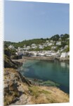 Polperro is a village with beautiful ancient houses along a canal by Anonymous