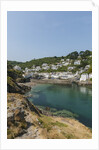 Polperro is a village with beautiful ancient houses along a canal by Anonymous