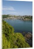 View of Polruan from Fowey by Anonymous