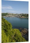 View of Polruan from Fowey by Anonymous