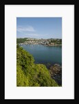 View of Polruan from Fowey by Anonymous
