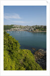View of Polruan from Fowey by Anonymous