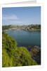 View of Polruan from Fowey by Anonymous
