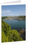 View of Polruan from Fowey by Anonymous