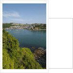 View of Polruan from Fowey by Anonymous
