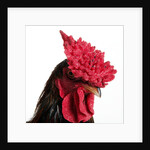 Derbyshire Redcap Rooster by Anonymous