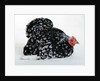 Pekin Bantam by Anonymous
