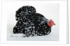 Pekin Bantam by Anonymous