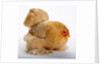 Pekin/Cochin Bantam by Anonymous