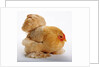 Pekin/Cochin Bantam by Anonymous