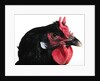 La Fleche by Anonymous