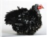 Frizzle by Anonymous