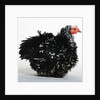 Frizzle by Anonymous