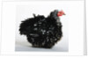 Frizzle by Anonymous