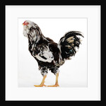 Russian Orloff by Anonymous