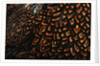 Doubled Laced feather pattern by Anonymous