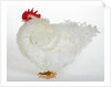 Frizzle by Anonymous