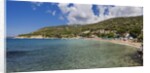 Elba Island - View of Cavoli beach by Anonymous