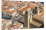 The roofs of old town and the towers of the Duomo (Cathedral) from the Rocca (fortress) by Anonymous