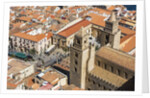 The roofs of old town and the towers of the Duomo (Cathedral) from the Rocca (fortress) by Anonymous