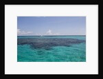 Solitary boat on a big ocean. by Anonymous