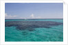 Solitary boat on a big ocean. by Anonymous