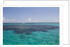 Solitary boat on a big ocean. by Anonymous
