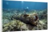 Diver peruses 10,000 pound Cannon. by Anonymous