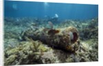 Diver peruses 10,000 pound Cannon. by Anonymous