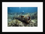 Diver peruses 10,000 pound Cannon. by Anonymous