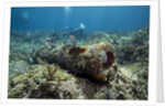 Diver peruses 10,000 pound Cannon. by Anonymous