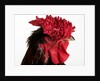 Derbyshire Redcap by Anonymous