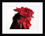Derbyshire Redcap by Anonymous