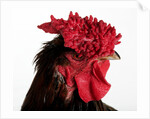 Derbyshire Redcap by Anonymous