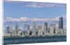 Seattle Skyline by Anonymous