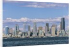 Seattle Skyline by Anonymous