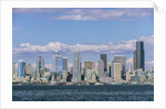 Seattle Skyline by Anonymous