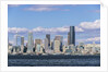 Seattle Skyline by Anonymous