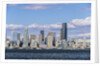 Seattle Skyline by Anonymous