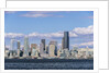 Seattle Skyline by Anonymous