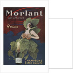 Champagne Nature Sprite Imagined by Anonymous