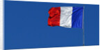 French flag by Anonymous