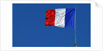 French flag by Anonymous