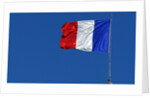 French flag by Anonymous
