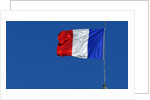 French flag by Anonymous