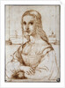 Young woman on a balcony (Florentine noblewoman) by Raphael